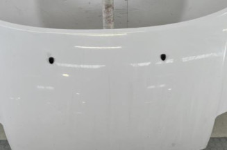 Capot CITROEN C2 Photo n°1