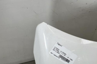 Capot CITROEN C2
