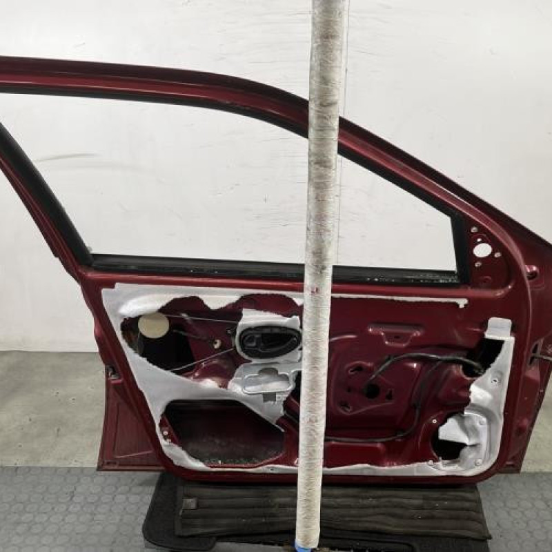 Porte avant gauche PEUGEOT 406 Photo n°6