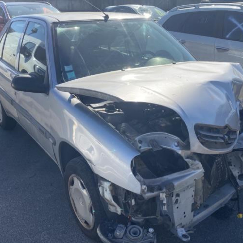 Porte arriere gauche CITROEN SAXO Photo n°9