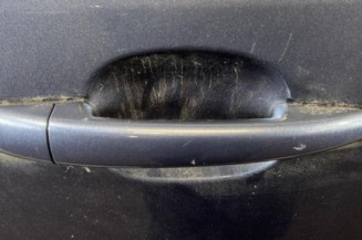 Porte arriere droit CITROEN C4 1