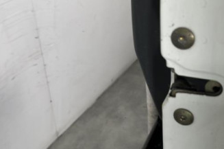 Porte avant droit IVECO DAILY 3