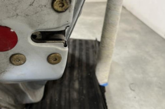 Porte arriere gauche RENAULT CLIO 2