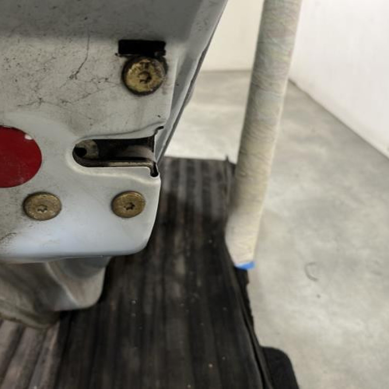 Porte arriere gauche RENAULT CLIO 2 Photo n°3