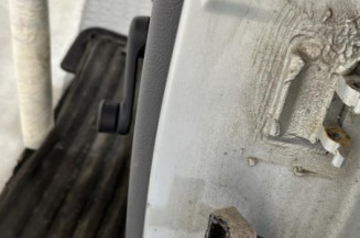 Porte arriere gauche RENAULT CLIO 2