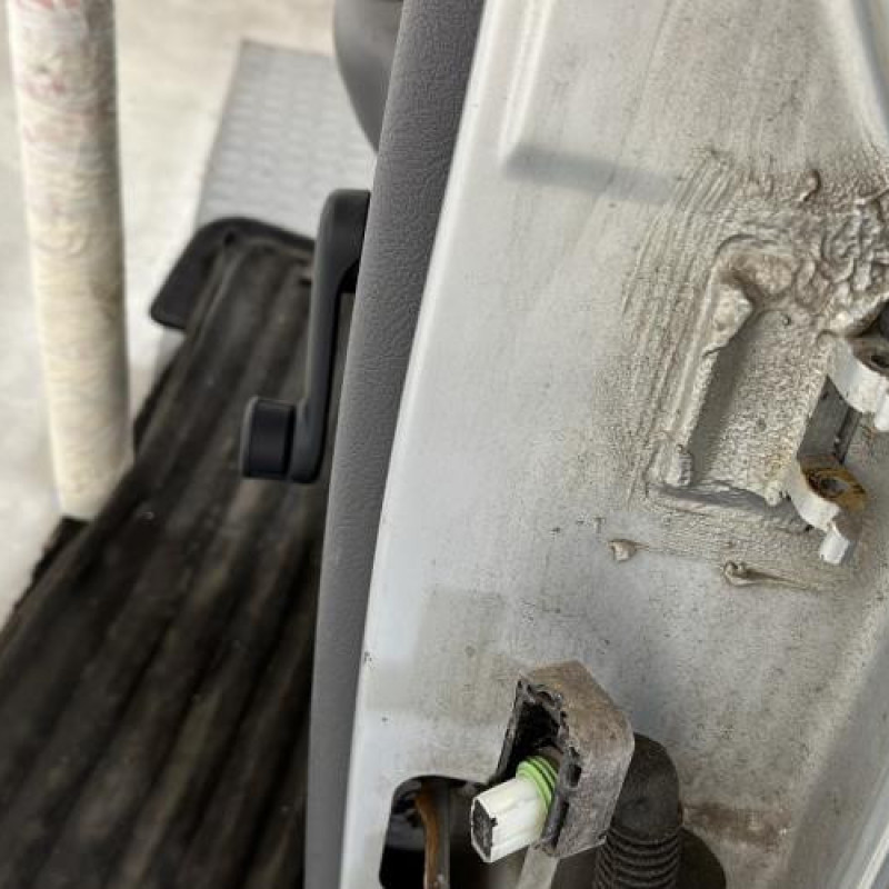 Porte arriere gauche RENAULT CLIO 2 Photo n°4