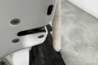 Porte arriere gauche PEUGEOT 106