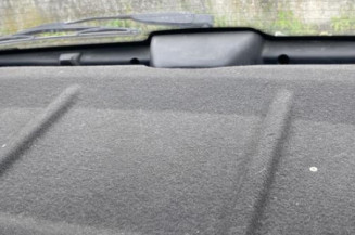 Porte arriere gauche PEUGEOT 106