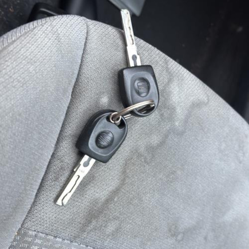 Porte avant droit SEAT IBIZA 3 Photo n°20