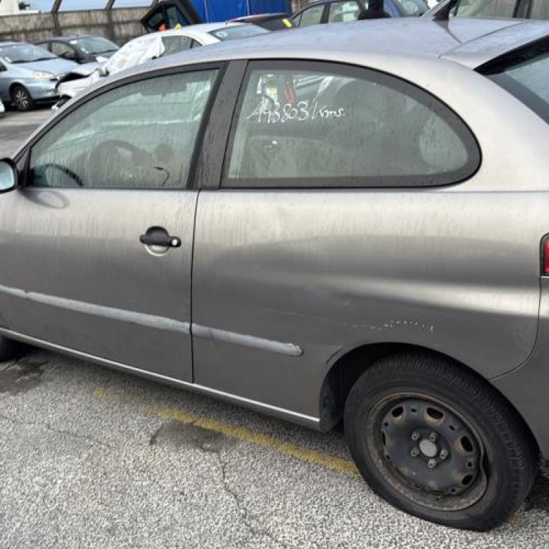 Porte avant gauche SEAT IBIZA 3 Photo n°6
