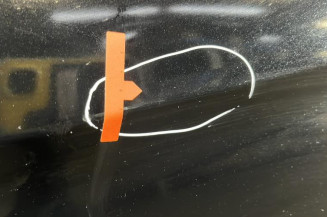 Porte avant gauche MERCEDES CLASSE B 245