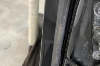 Porte avant gauche MERCEDES CLASSE B 245