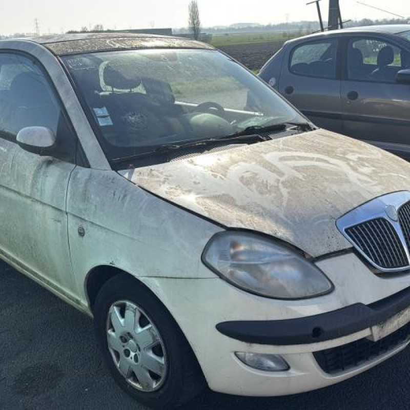 Calandre LANCIA YPSILON 4 Photo n°6