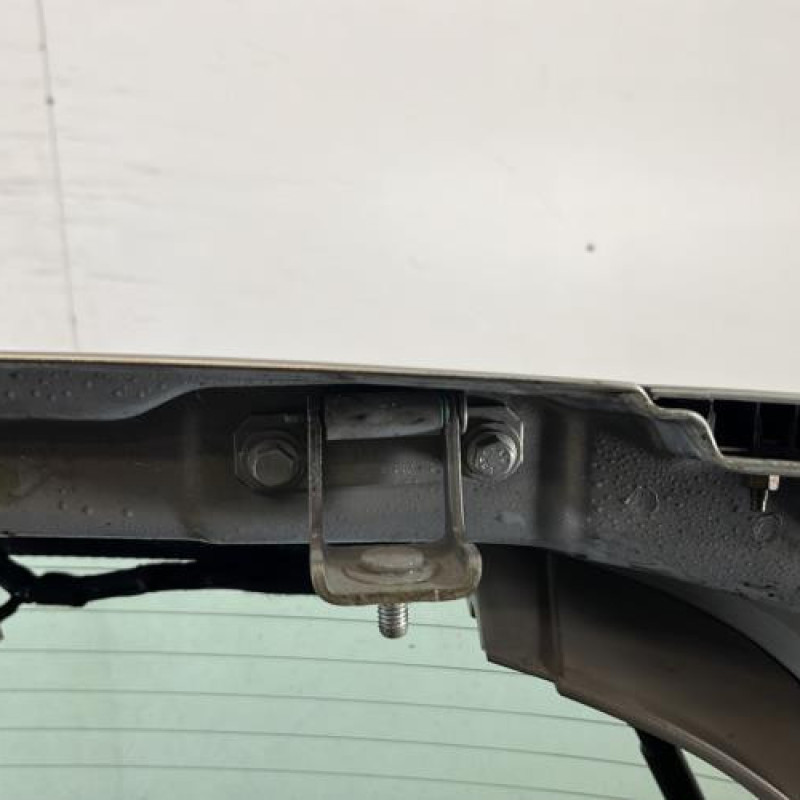 Malle/Hayon arriere RENAULT SCENIC 2 Photo n°10