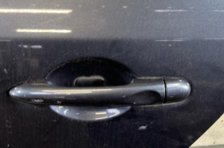Porte arriere gauche RENAULT MEGANE 3