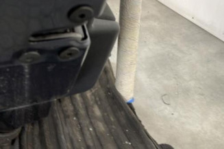 Porte arriere gauche RENAULT MEGANE 3