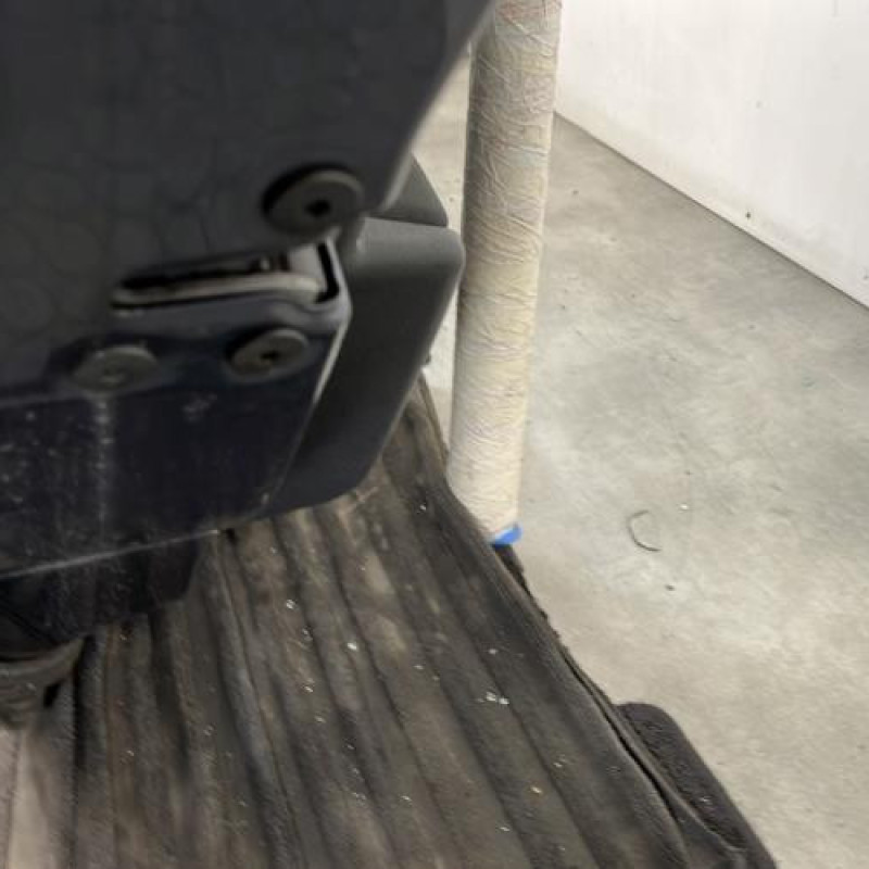 Porte arriere gauche RENAULT MEGANE 3 Photo n°3