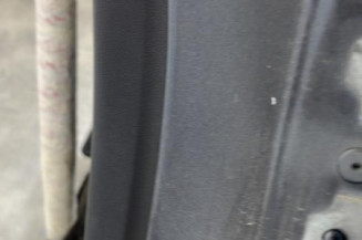 Porte arriere gauche RENAULT MEGANE 3