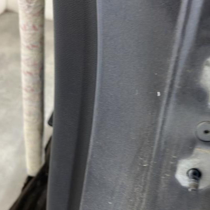 Porte arriere gauche RENAULT MEGANE 3 Photo n°4