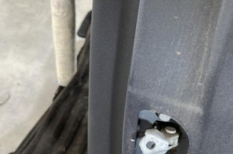 Porte arriere gauche RENAULT MEGANE 3