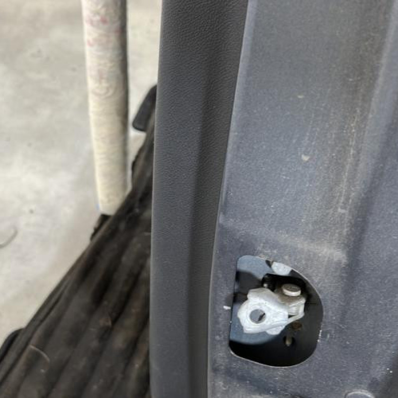 Porte arriere gauche RENAULT MEGANE 3 Photo n°5