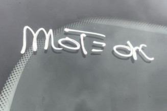 Porte arriere gauche RENAULT MEGANE 3