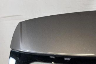 Malle/Hayon arriere VOLKSWAGEN POLO 5