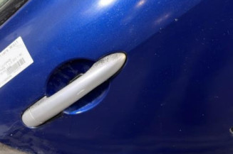 Porte arriere droit RENAULT CLIO 3