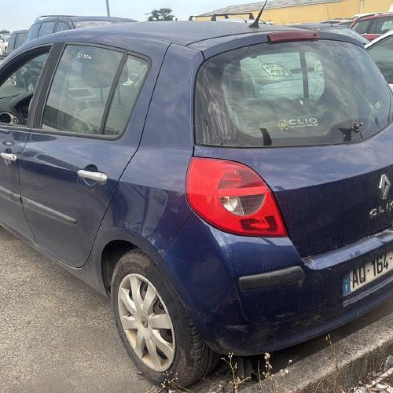 Porte arriere droit RENAULT CLIO 3 Photo n°9
