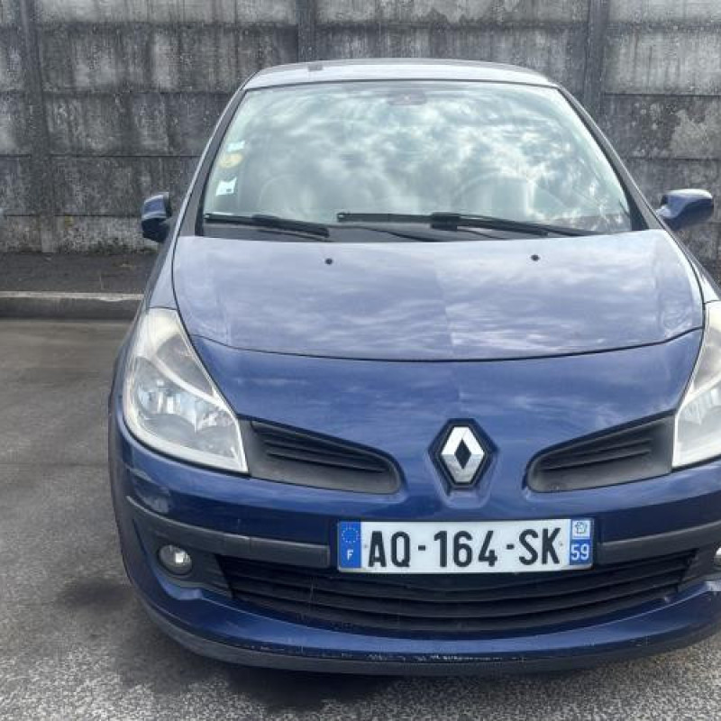 Porte arriere droit RENAULT CLIO 3 Photo n°13