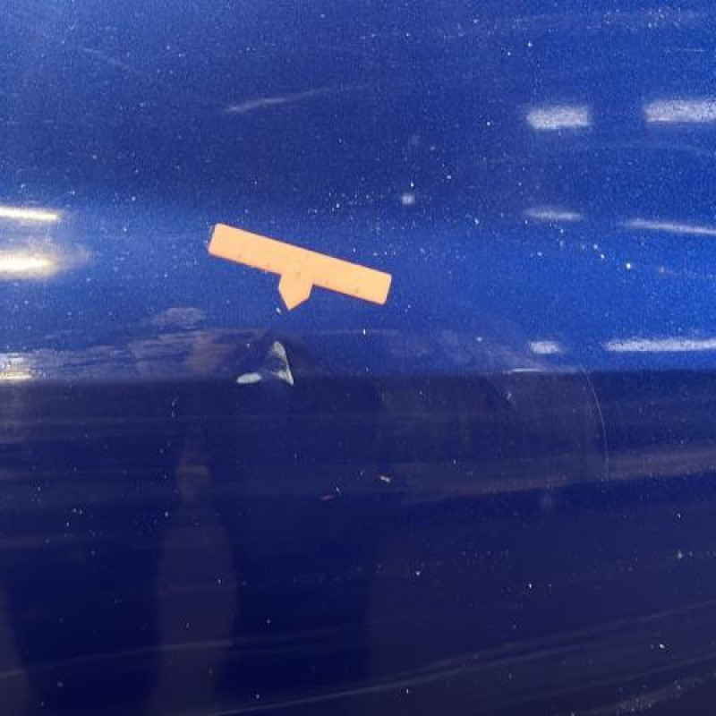 Porte avant droit RENAULT CLIO 3 Photo n°3