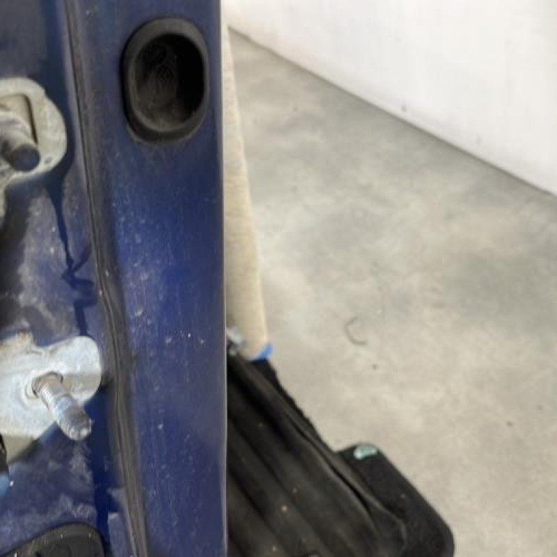 Porte avant droit RENAULT CLIO 3 Photo n°4