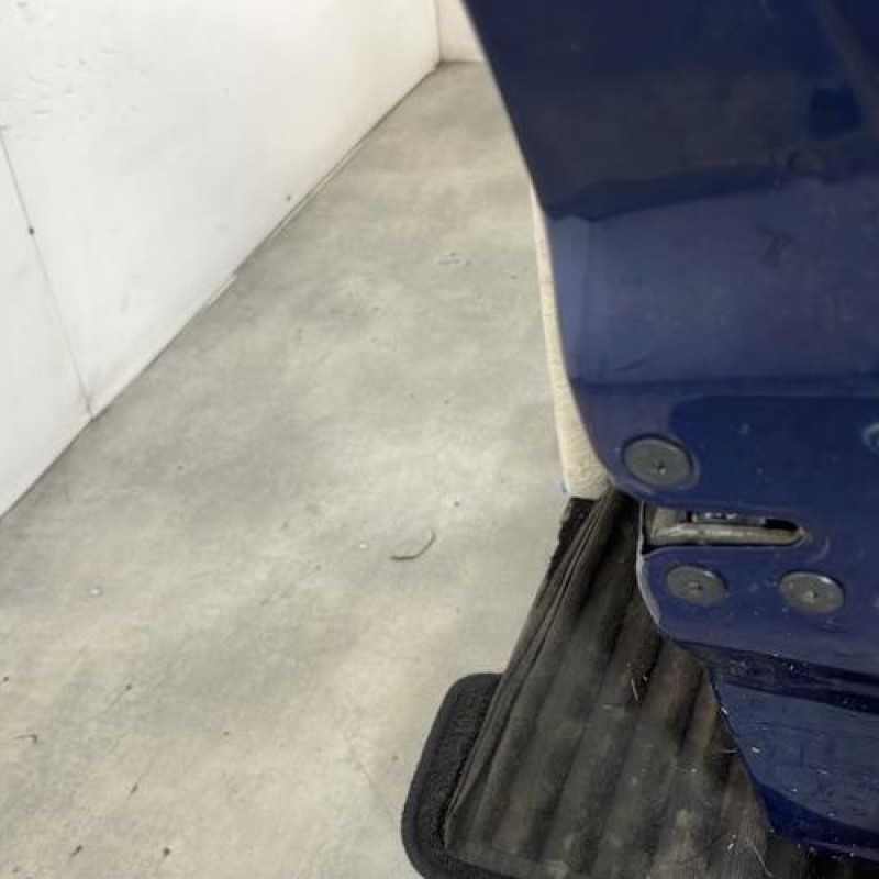 Porte avant droit RENAULT CLIO 3 Photo n°6