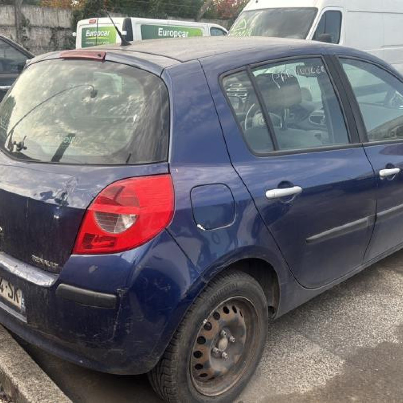 Porte avant droit RENAULT CLIO 3 Photo n°10