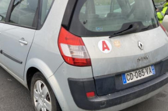 Vitre arriere droit RENAULT SCENIC 2