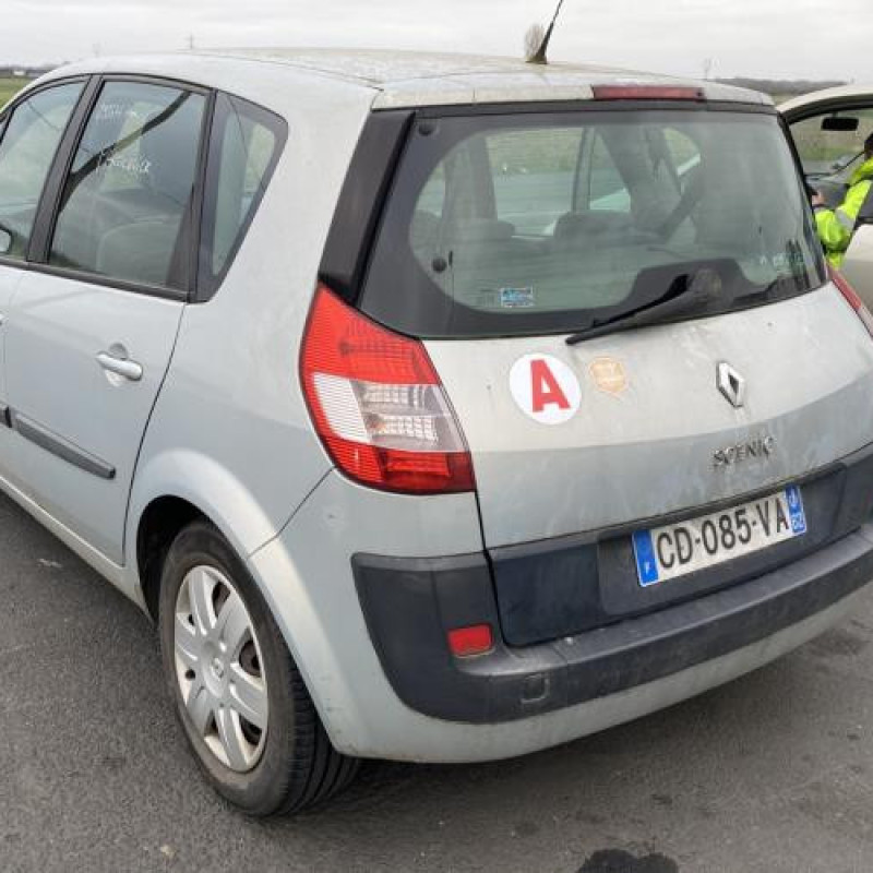 Vitre arriere droit RENAULT SCENIC 2 Photo n°8