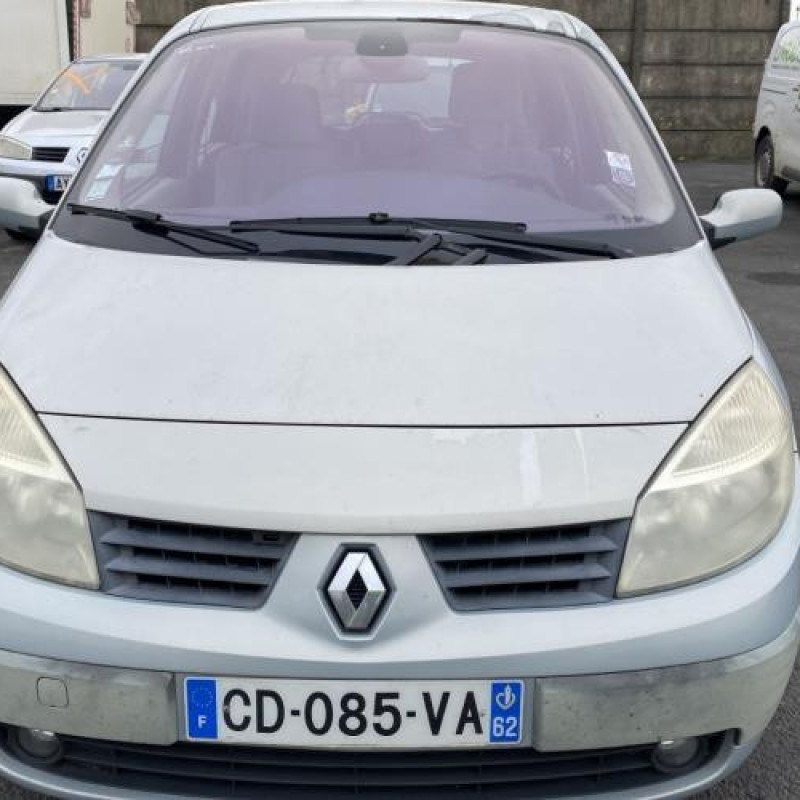 Vitre arriere droit RENAULT SCENIC 2 Photo n°12