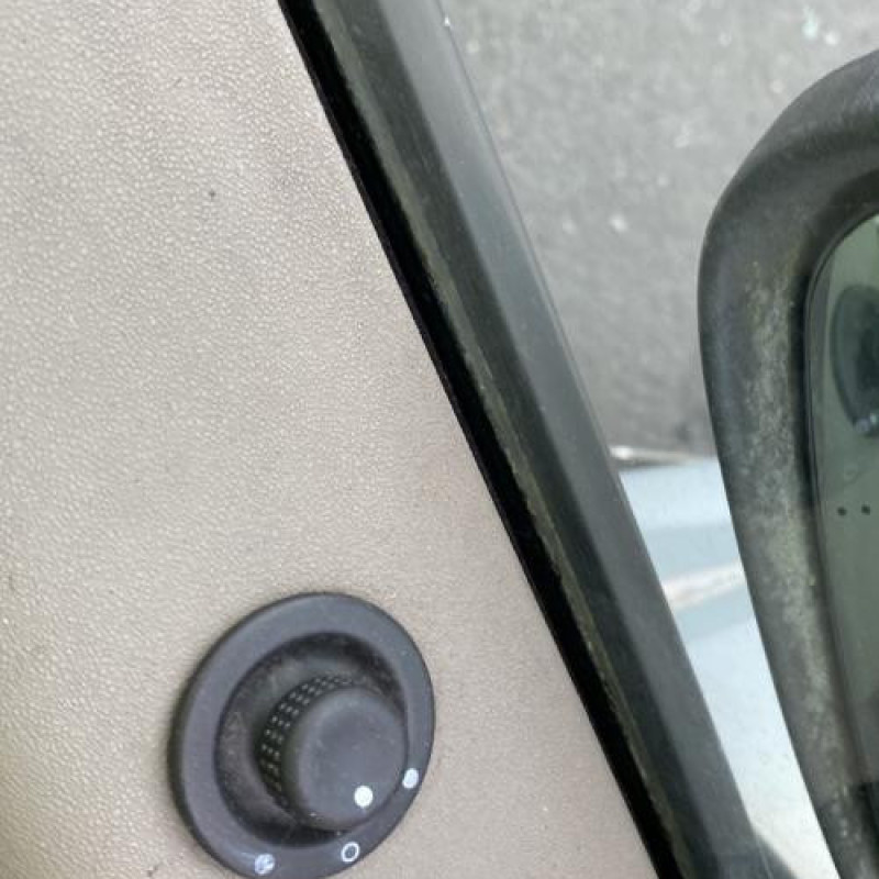 Vitre arriere droit RENAULT SCENIC 2 Photo n°15