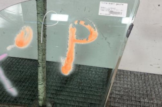 Vitre avant gauche RENAULT CLIO 2