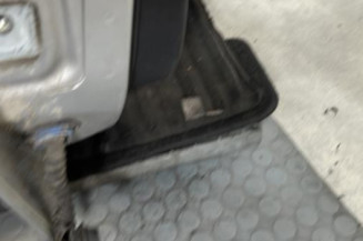 Porte arriere droit OPEL CORSA D
