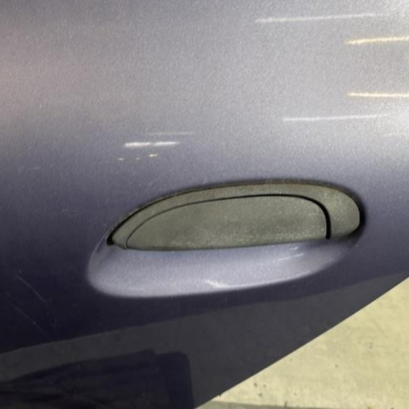 Porte arriere gauche RENAULT CLIO 2 Photo n°2
