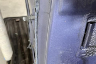 Porte arriere gauche RENAULT CLIO 2