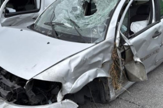 Poignee porte arriere gauche CITROEN C3 1