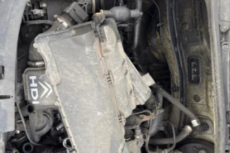 Poignee porte arriere gauche CITROEN C3 1