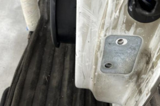 Porte arriere gauche AUDI A3 2