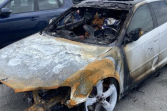 Porte arriere gauche AUDI A3 2