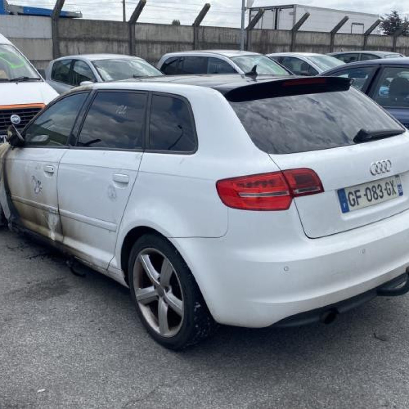 Porte arriere gauche AUDI A3 2 Photo n°9