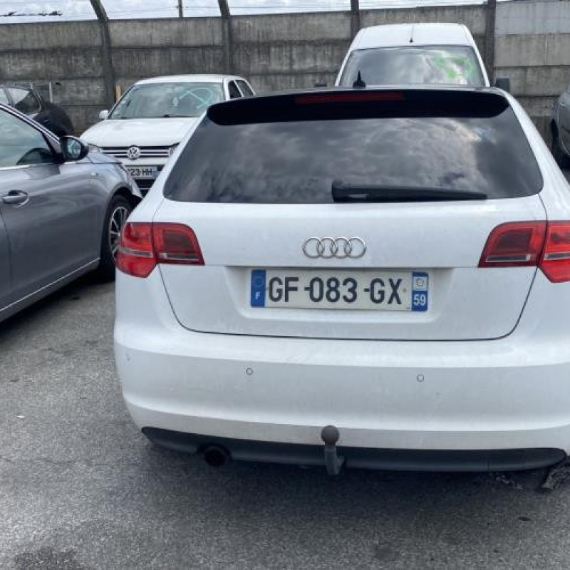 Porte arriere gauche AUDI A3 2 Photo n°10