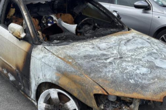 Porte arriere gauche AUDI A3 2