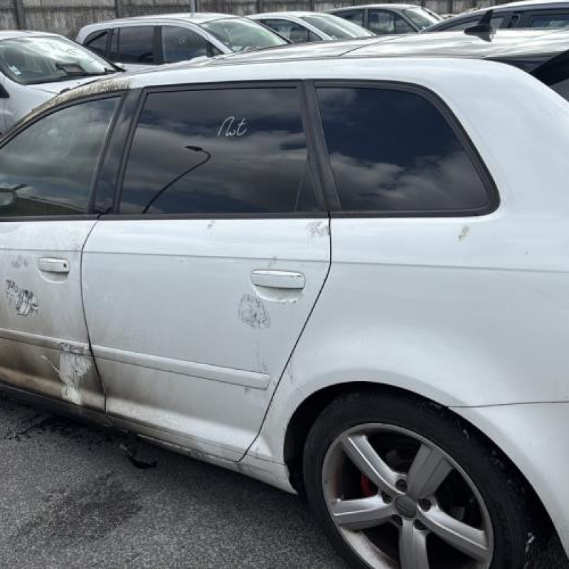 Porte arriere gauche AUDI A3 2 Photo n°19